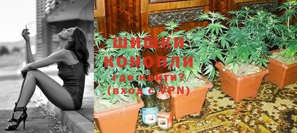 PSILOCYBIN Абдулино