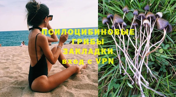 PSILOCYBIN Абдулино