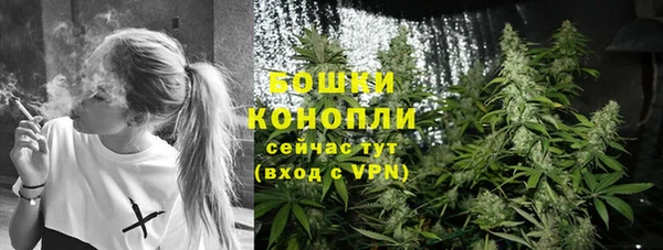 PSILOCYBIN Абдулино
