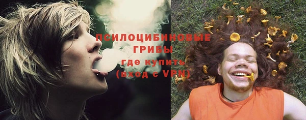 ECSTASY Няндома