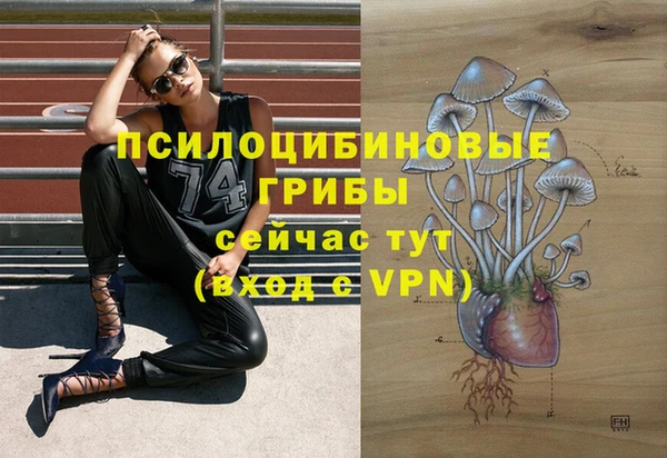 спиды Абинск
