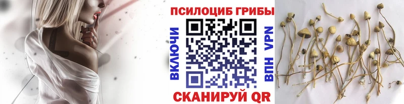 Галлюциногенные грибы MAGIC MUSHROOMS  Монино 